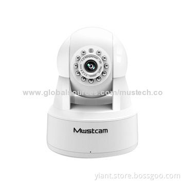 720P P2P Pan Tilt Wireless Wi-Fi Cameras with Motion Detection and Alarm